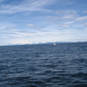 ocean conditions