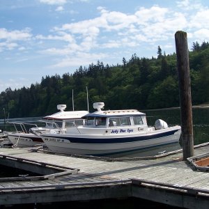 Media 'WA Reg # 2455 & 2456
JBE with Two Lucky Fish' in album 'Home Berth'