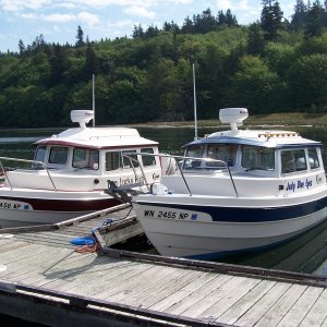 Media 'With Two Lucky Fish at Sandy Hook Marina' in album 'Home Berth'