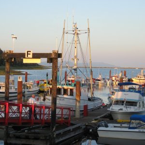 Comox gathering marina