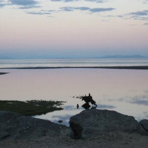 tide pools at pacific playgrounds