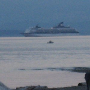 Celebrity cruise ship approaching middlenatch island