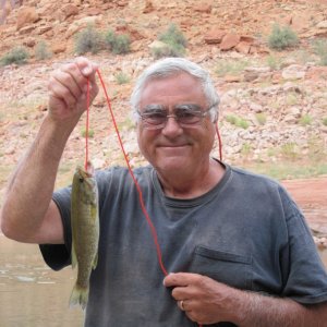 Pat\'s Little Fish at Slick Rock Canyon 9-27-14