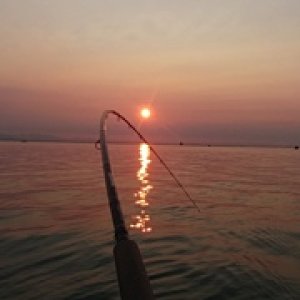 Bent rods are great