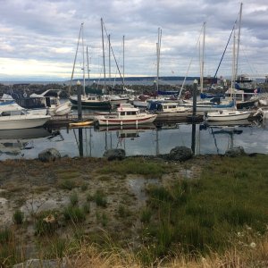 C Dory\'s gathering