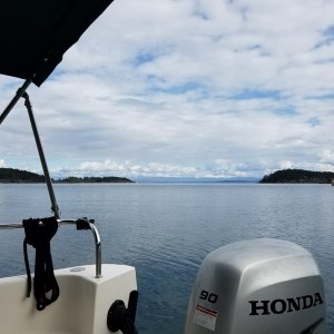 Media 'Spring trip to Sucia Island, in San Juans' in album '20170130 160104'