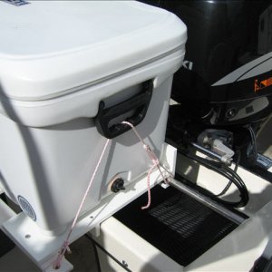 Cooler tie down