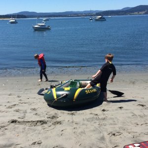 Media 'beach at Sidney Spit' in album 'They seem happy'