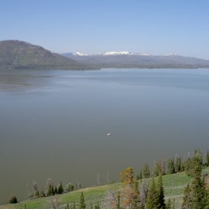 The white dot toward the center of photo is the Hunkydory