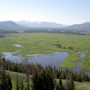 Thorofare Valley south of Yellowstone Lake