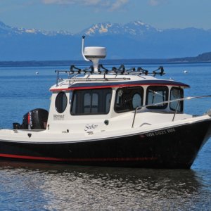 Media 'SEEKER, Olympic Mountains in background' in album 'SEEKER launches at Puget Marina'