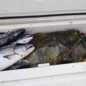 FishBox