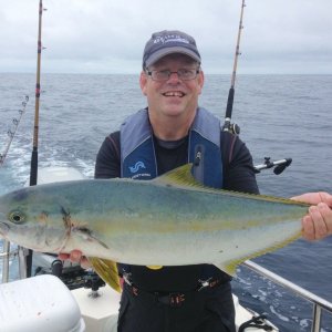 Yellowtail