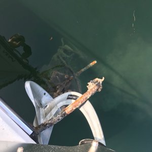 Media 'Montague Harbor; fouled anchor' in album 'The Admiral.'