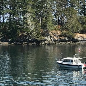 Media 'Princess Cove, Portland Island, BC.' in album 'The Admiral.'
