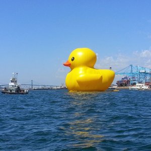 Rubber Ducky!