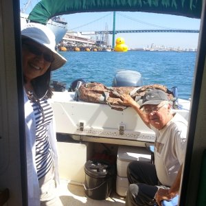 A day with Rubber Ducky and Tall Ships