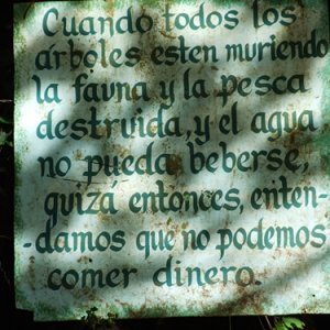 "When all the trees are dead, the animals and fish destroyed, and the water cannot be drunk, perhaps then will we learn that we cannot eat money."