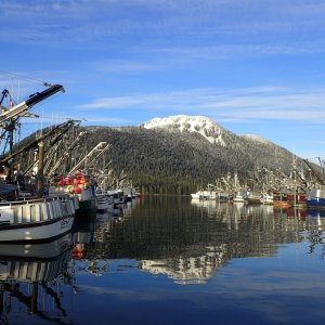 Petersburg Harbor & Petersburg Mountain PC220494