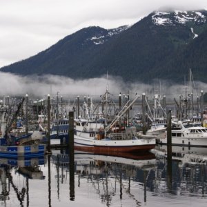 Petersburg Harbor 2