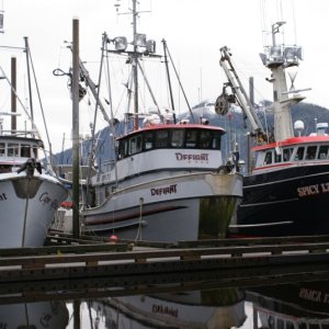 Petersburg Harbor 3
