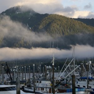 Petersburg Harbor 6