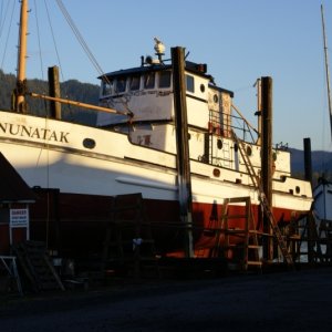 Petersburg, 2010 011 - Shipyard Drydock