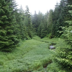 Petersburg, Small stream on Mitkof Is