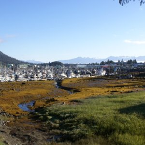 Petersburg, 2010 027