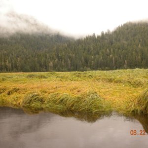 Petersburg 2012 - Up the Creek 01