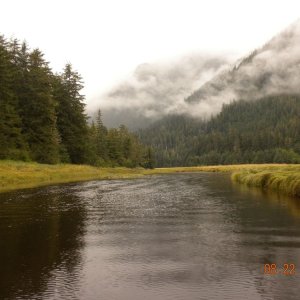 Petersburg 2012 - Up the Creek, just below Hoagies Hole 02