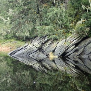Petersburg 2016 - Petersburg Creek.  P8160083