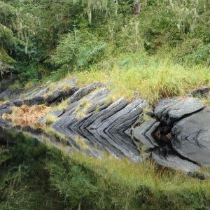 Petersburg 2016 - Petersburg Creek.  P8160085