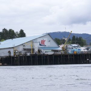 Inside Passage 2011 191 -Petersburg PFI Icicle Seafoods Dock