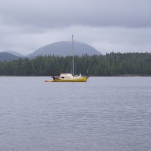 Recently (2025) discovered I had photographed "Water Spirit" near Bella Bella in 2014, before I encountered it in Petersburg. DSC06321