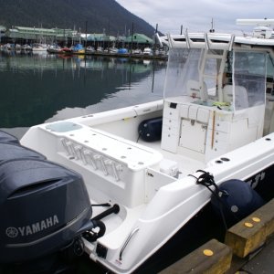 Inside Passage 2011 235 -Petersburg - Triplets on Zenith's tender.