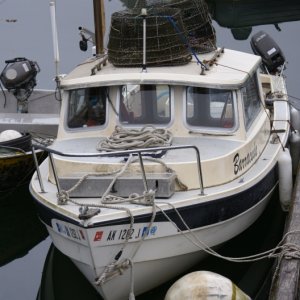 Petersburg C-Dory, "Barracuda." Inside Passage 2011 244