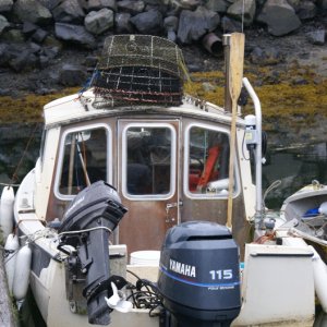 Petersburg C-Dory, "Barracuda."  Inside Passage 2011 245