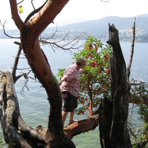 first mate going out on a limb