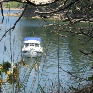 Media 'Kerri On in 6 ft of water low tide' in album 'Carolyn and grandson Ryder'