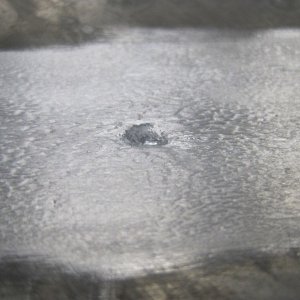 Media 'Pitting' in album 'Bottom of tank showing corrosion line that was sitting on raised floor.'