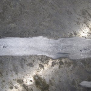 Media 'Pitting closeup' in album 'Bottom of tank showing corrosion line that was sitting on raised floor.'