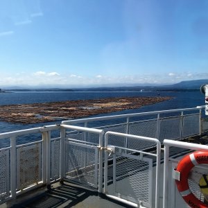 Going by a log tow