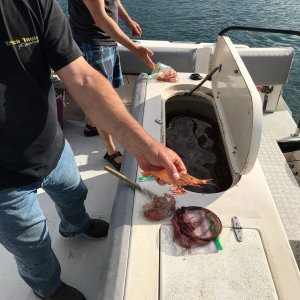 Some other guys that came back from shrimping