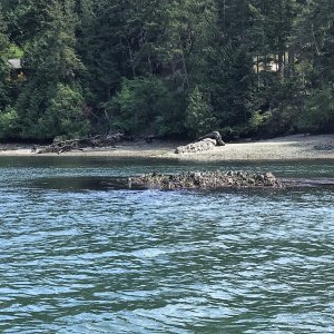 This is the reef I just about caught the bow of my boat on earlier when I was trying to assist a distressed boater the first time I came through this area!
