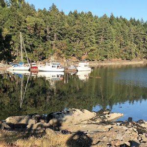 Conover Cove