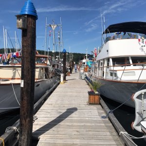 Ladysmith Community Marina was having their Festival Boats Festivity