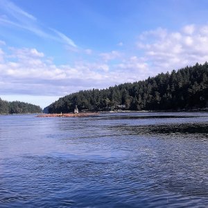 Following Log Tow into Dodd Narrows