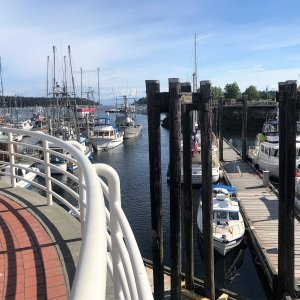 Nanaimo Harbour