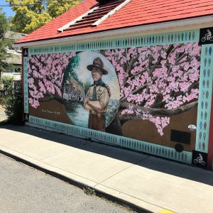 One of the many beautiful Murals in Chemainus